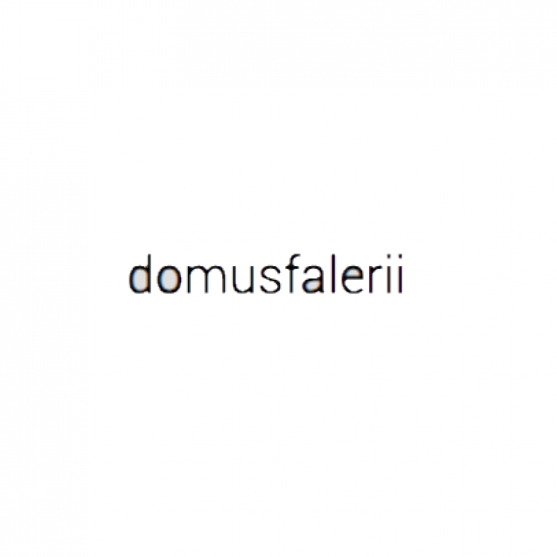 Domus Falerii